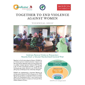 Together To End Violence Against Women Technical Brief