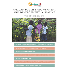 African Youth Empowerment and Development Initiative Technical Briefs