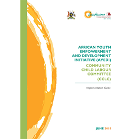 AYEDI Community Child Labour Committee Implementation Guide